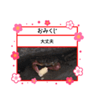 ㋚㋕㋤（個別スタンプ：28）