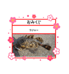 ㋚㋕㋤（個別スタンプ：29）