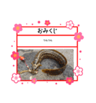 ㋚㋕㋤（個別スタンプ：31）