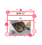 ㋚㋕㋤（個別スタンプ：32）