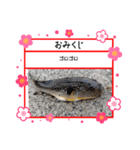 ㋚㋕㋤（個別スタンプ：35）