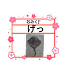 ㋚㋕㋤（個別スタンプ：36）