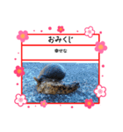 ㋚㋕㋤（個別スタンプ：37）