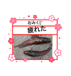 ㋚㋕㋤（個別スタンプ：40）