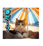 リアル⭐猫の夏休み（個別スタンプ：23）