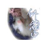 ゴールデンハムスター ライくんワールド（個別スタンプ：16）