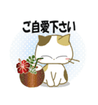 みけ猫みけさん8（個別スタンプ：24）