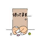 ウニまるちゃん(犬)の日常（個別スタンプ：29）