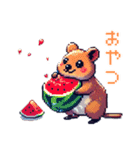 ドット絵_クアッカワラビー（個別スタンプ：4）