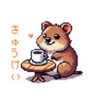 ドット絵_クアッカワラビー（個別スタンプ：6）