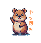 ドット絵_クアッカワラビー（個別スタンプ：7）