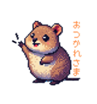 ドット絵_クアッカワラビー（個別スタンプ：8）