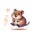 ドット絵_クアッカワラビー（個別スタンプ：12）