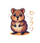 ドット絵_クアッカワラビー（個別スタンプ：17）