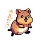 ドット絵_クアッカワラビー（個別スタンプ：24）