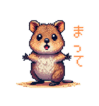 ドット絵_クアッカワラビー（個別スタンプ：26）