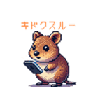 ドット絵_クアッカワラビー（個別スタンプ：28）