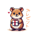 ドット絵_クアッカワラビー（個別スタンプ：31）