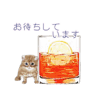 【敬語】ほんわか動物とカクテル（個別スタンプ：9）