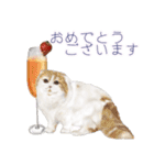 【敬語】ほんわか動物とカクテル（個別スタンプ：17）