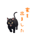 ほとんど黒猫スタンプVol.1（個別スタンプ：5）