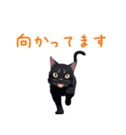 ほとんど黒猫スタンプVol.1（個別スタンプ：10）