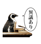 法廷ペンギン【煽り・動物・面白い】（個別スタンプ：7）