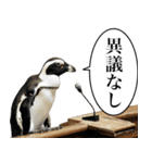 法廷ペンギン【煽り・動物・面白い】（個別スタンプ：8）