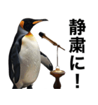 法廷ペンギン【煽り・動物・面白い】（個別スタンプ：21）