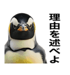 法廷ペンギン【煽り・動物・面白い】（個別スタンプ：22）