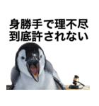 法廷ペンギン【煽り・動物・面白い】（個別スタンプ：24）