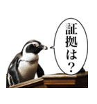 法廷ペンギン【煽り・動物・面白い】（個別スタンプ：25）