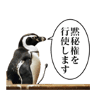 法廷ペンギン【煽り・動物・面白い】（個別スタンプ：26）