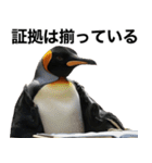 法廷ペンギン【煽り・動物・面白い】（個別スタンプ：27）