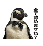 法廷ペンギン【煽り・動物・面白い】（個別スタンプ：28）