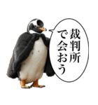 法廷ペンギン【煽り・動物・面白い】（個別スタンプ：31）