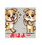 おしゃべり犬スタンプ（個別スタンプ：1）