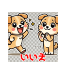 おしゃべり犬スタンプ（個別スタンプ：6）