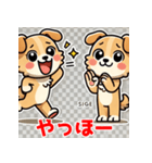 おしゃべり犬スタンプ（個別スタンプ：9）