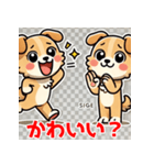 おしゃべり犬スタンプ（個別スタンプ：10）