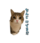 甘えんぼうのよぐ3（個別スタンプ：3）