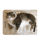 甘えんぼうのよぐ3（個別スタンプ：4）