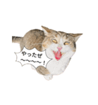甘えんぼうのよぐ3（個別スタンプ：7）