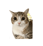 甘えんぼうのよぐ3（個別スタンプ：8）