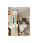 甘えんぼうのよぐ3（個別スタンプ：10）