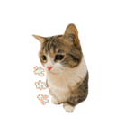 甘えんぼうのよぐ3（個別スタンプ：11）