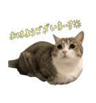 甘えんぼうのよぐ3（個別スタンプ：13）