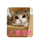 甘えんぼうのよぐ3（個別スタンプ：21）