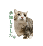 甘えんぼうのよぐ3（個別スタンプ：22）