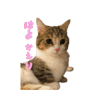 甘えんぼうのよぐ3（個別スタンプ：27）
